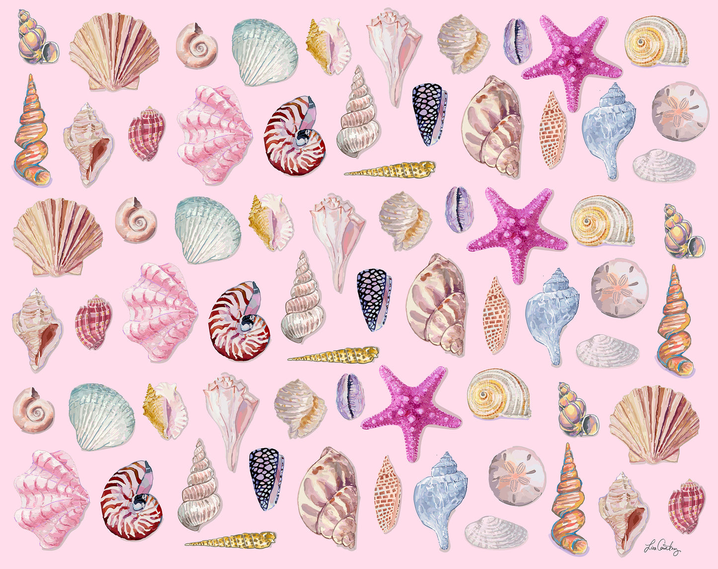 SEASHELLS BY THE SEA SHORE- COMING SOON